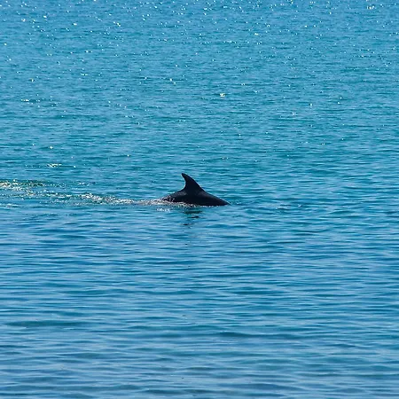 מלון Aegean Infinity Deluxe